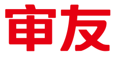 北京审友数治科技有限公司